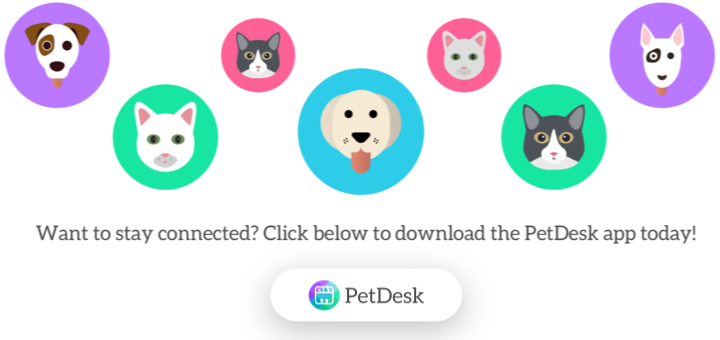 PetDesk App Infographic