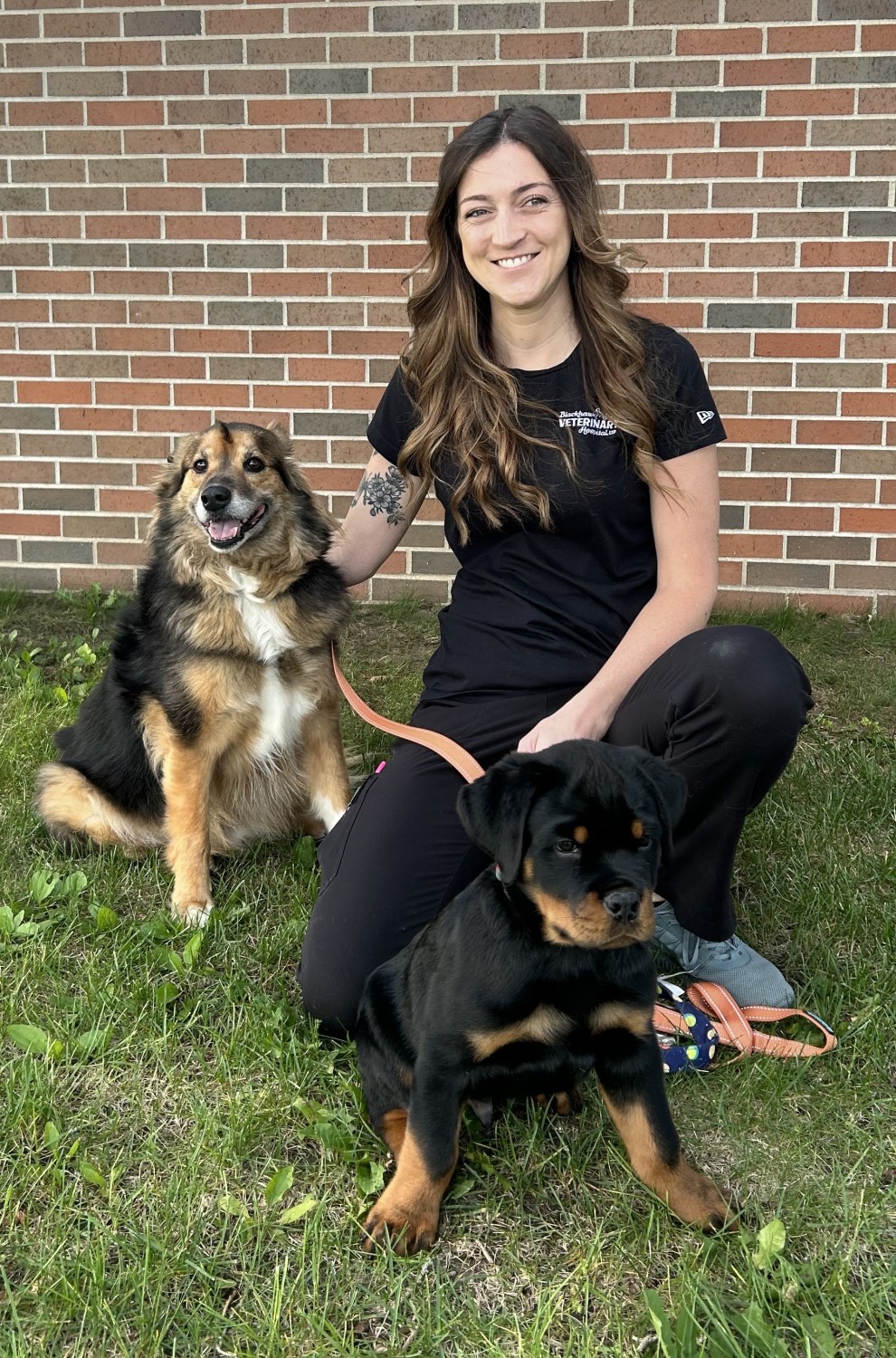 Nikki, CVT Nikki, CVT